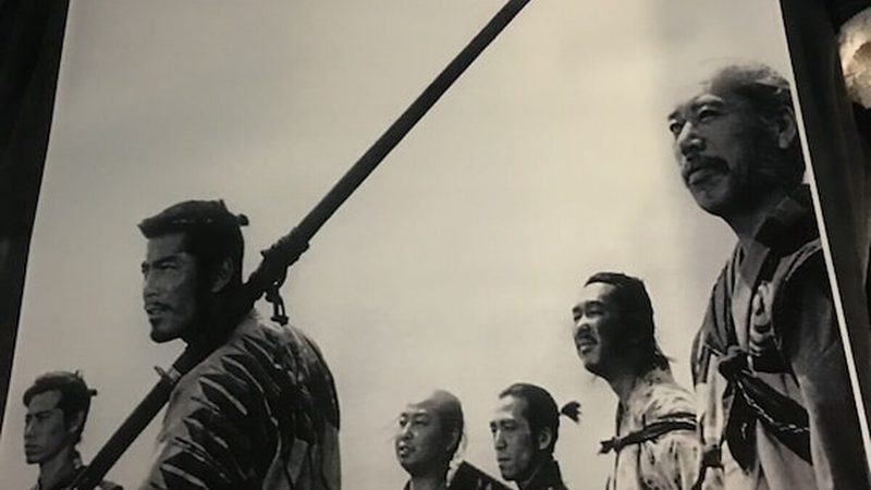 绿植租赁市场：如何选择性价比高的创业公司**