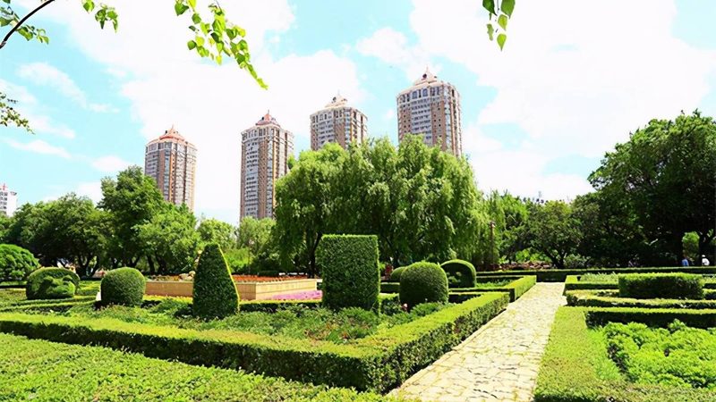 高校校园绿化改造，报价背后的考量因素