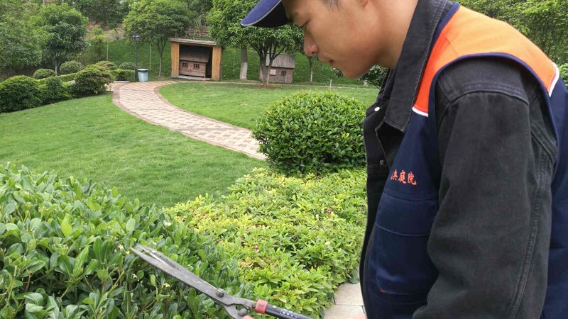 屋顶绿化防水选材：关键点与误区解析