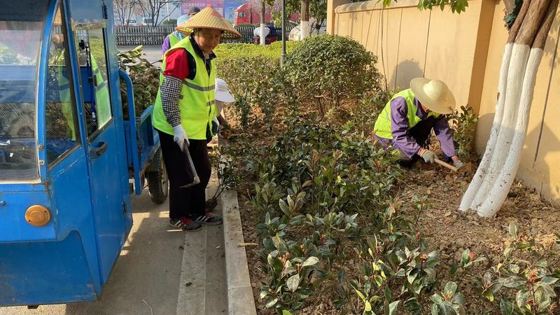 绿化养护招标中标价格：揭秘影响因素与决策要点