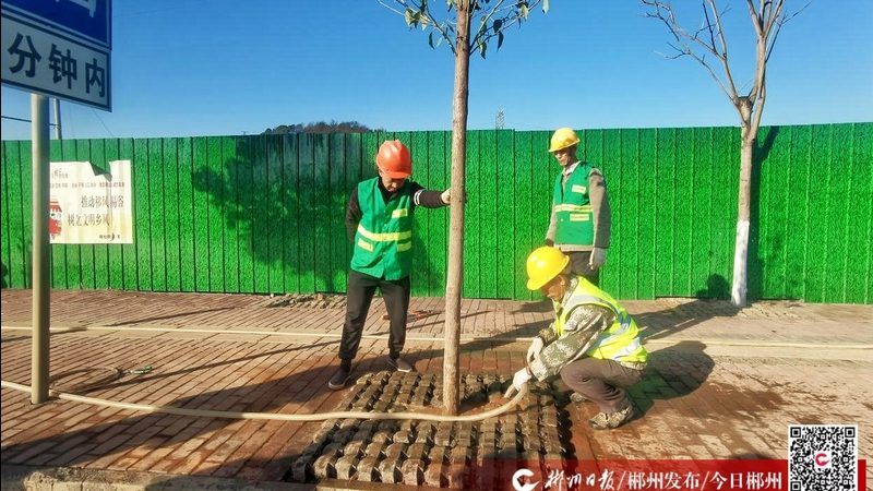 园林边坡绿化工程造价预算：关键要素与合理估算**