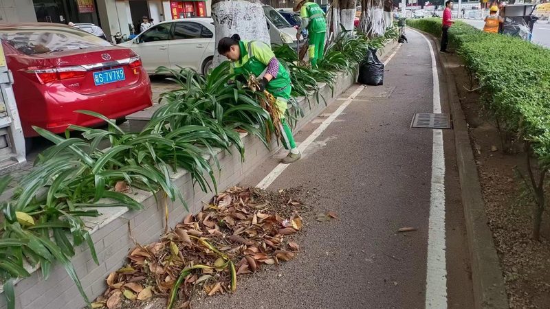 边坡绿化施工公司哪家好