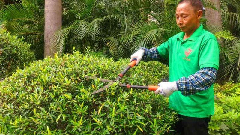 园林公司注册，如何选择靠谱的代理机构？**