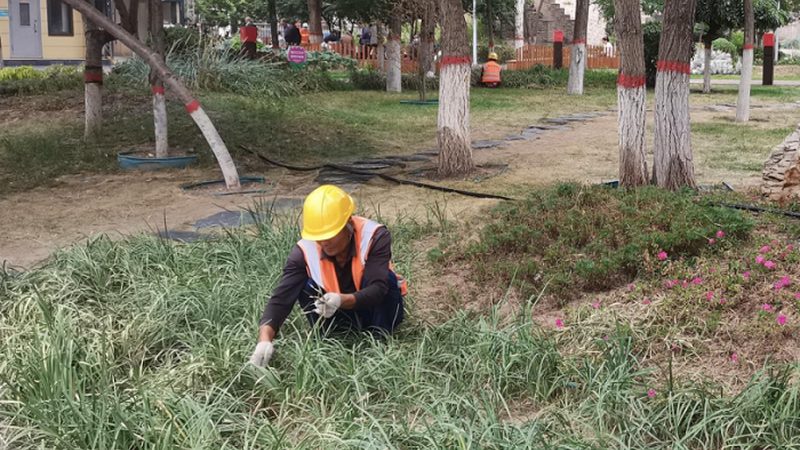 运动场草坪养护，如何选择合适设备？**