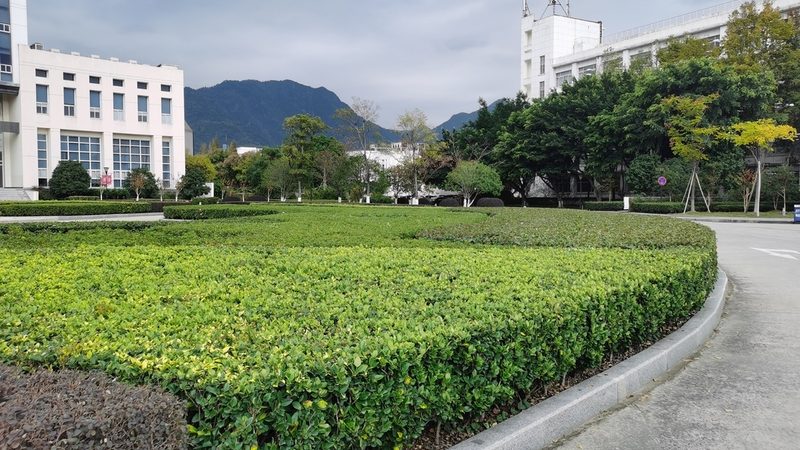 小区绿化修剪，不是想剪就能剪