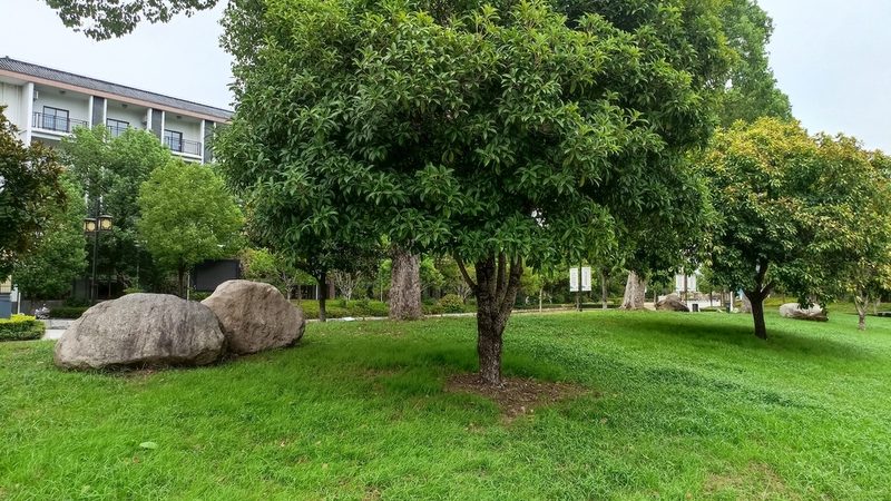 河道边坡绿化三维网施工：原理、步骤与注意事项**
