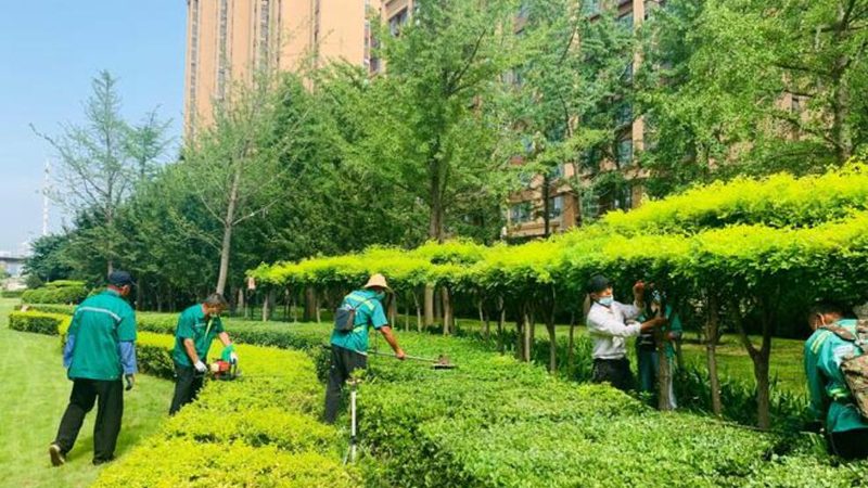 北京道路绿化养护，如何选择专业公司？**